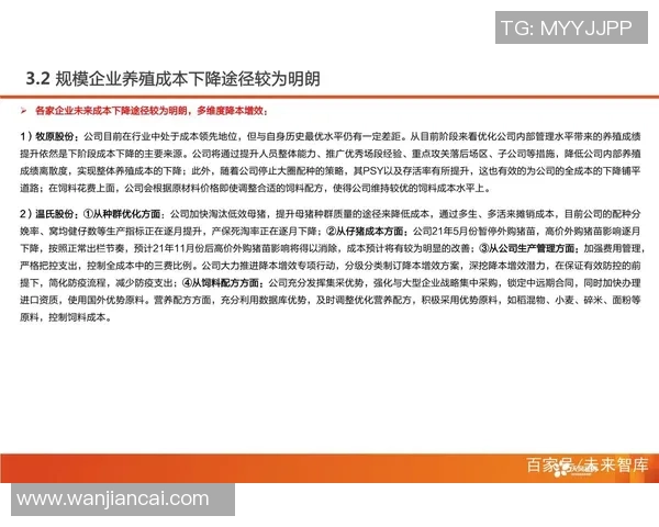 杭州足球队比赛经验分析与提升策略探讨